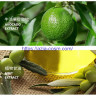 Восстанавливающая, успокаивающая Биоаква с экстрактами авокадо и мяты (45824)